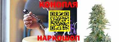 соль ск Будённовск