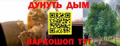 соль ск Будённовск