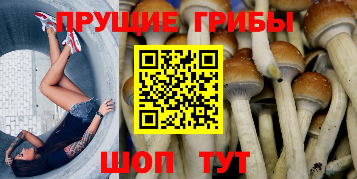 Заринск  Галлюциногенные грибы GOLDEN TEACHER  Вход с VPN 